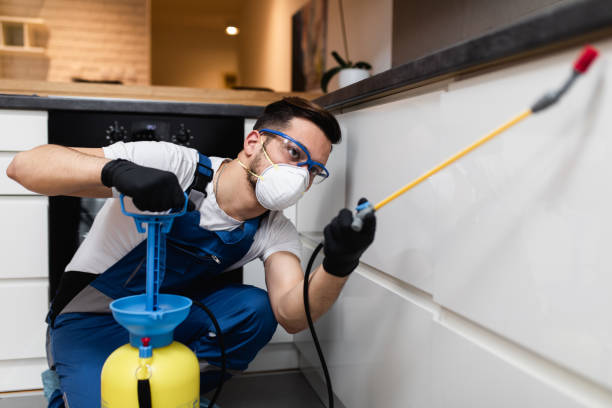 Best Wildlife Control Services  in Holgate, OH