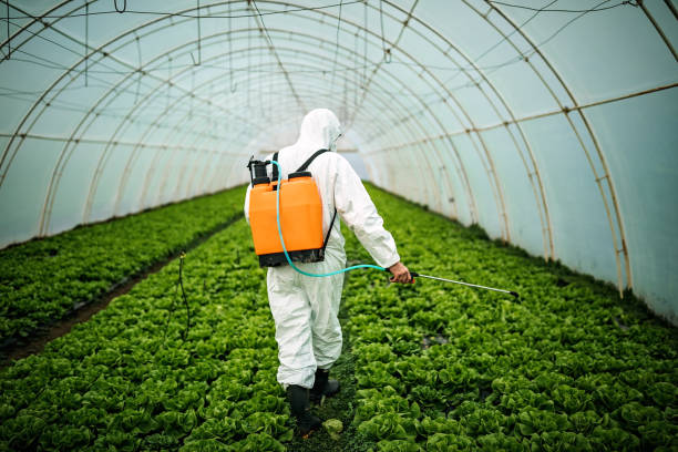 Best Pest Removal Services  in Holgate, OH