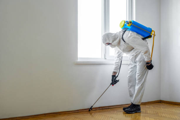 Best Cockroach Control Services  in Holgate, OH