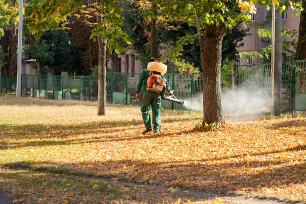 Best Exterminator Services  in Holgate, OH