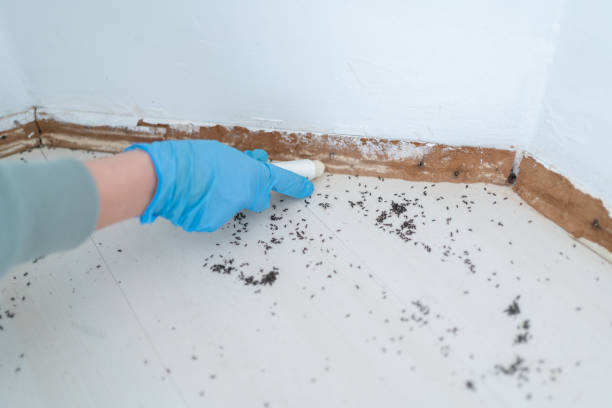 Holgate, OH Pest Control Company