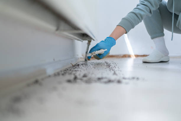 Best Commercial Pest Control Services  in Holgate, OH